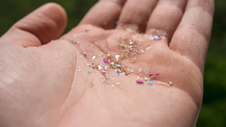 microplastics in hand