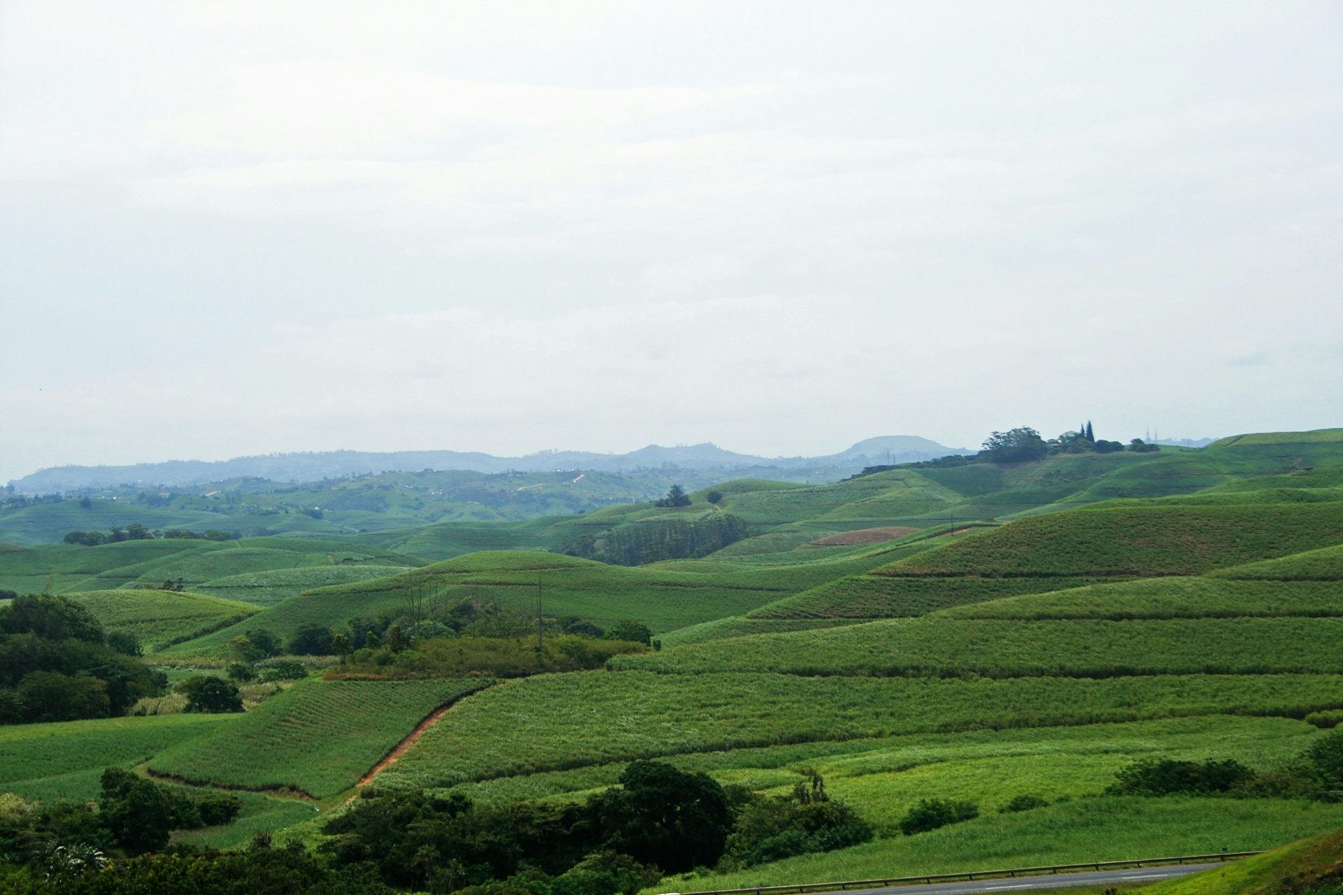 South Africa’s small sugar farms are producing less than they could: study finds ways to boost them