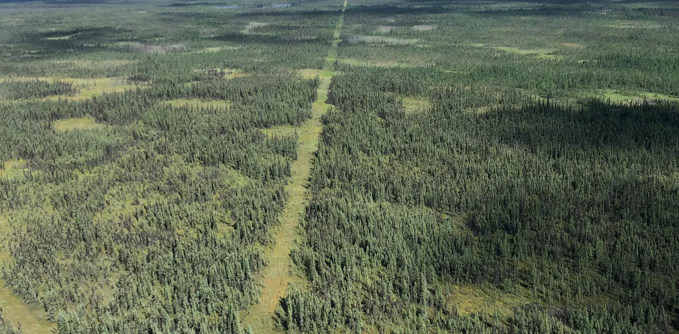 Industrial development is fragmenting Canada’s boreal forest. Governments should think carefully about future approvals Industrial development is fragmenting Canada’s boreal forest. Governments should think carefully about future approvals