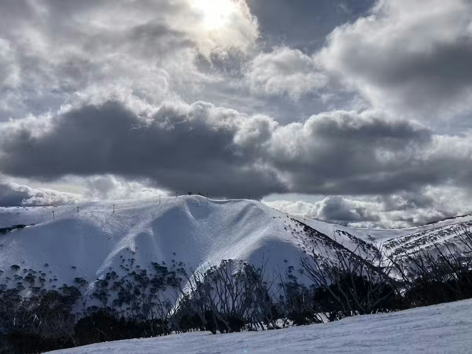 View of a snow-covered mountain in Victoria's alpine region.