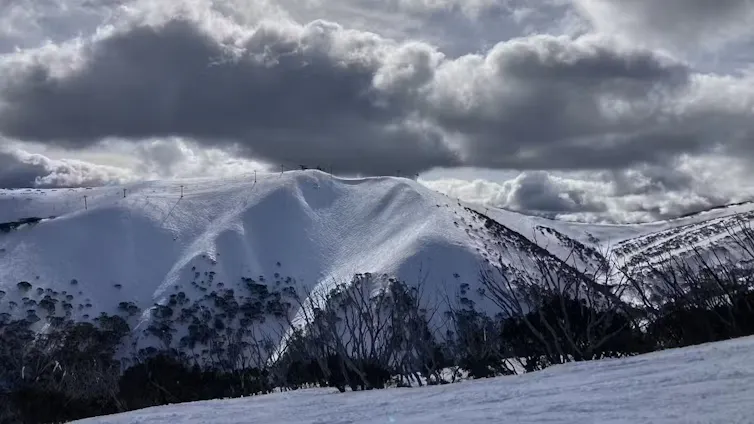 View of a snow-covered mountain in Victoria's alpine region.