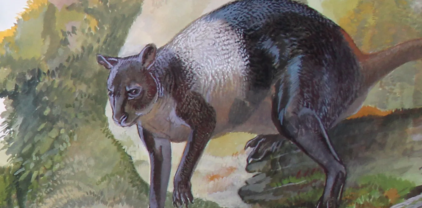 EduWireDaily — Giant kangaroos survived until 6,500 years ago on the New Guinea coast
