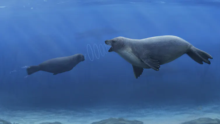 Illustration of an early seal communicating underwater.