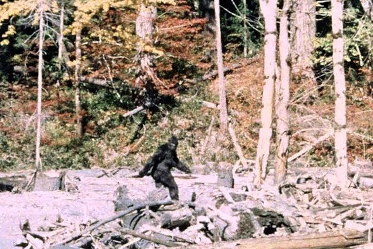 Image 352 du film de Patterson et Gimlin sur Bigfoot, tourné en 1967.