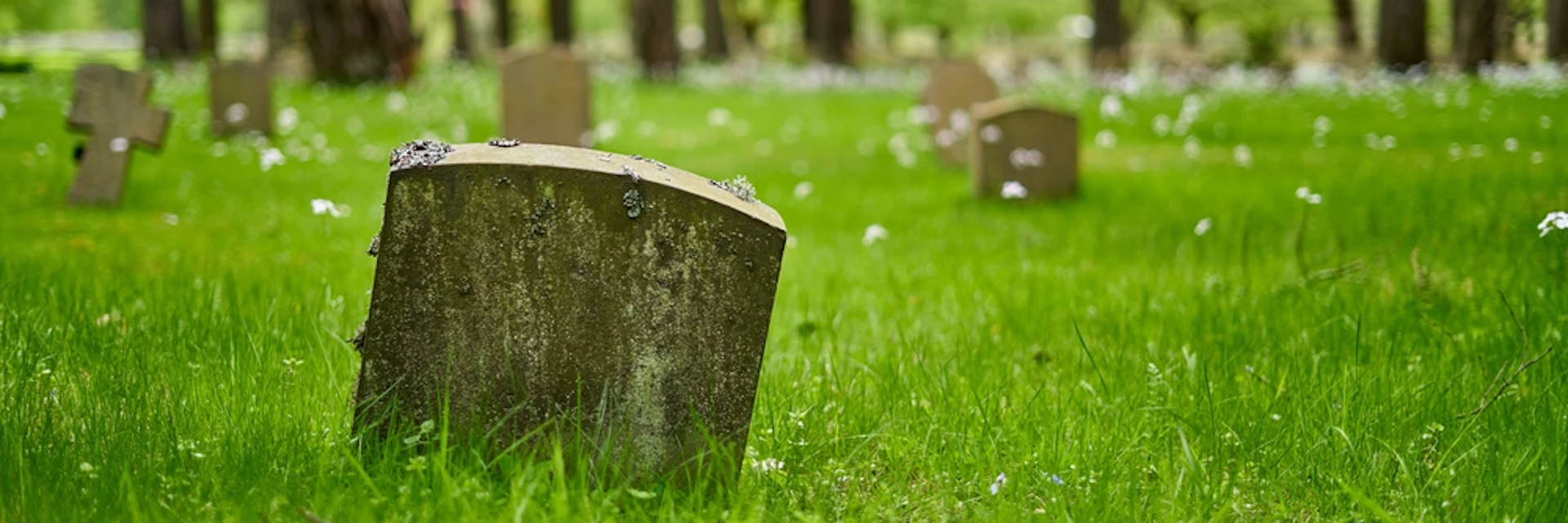 Composting and water cremation: how the eco credentials of alternatives to burial add up