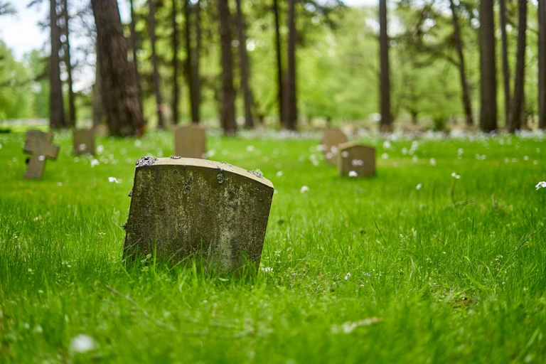A grave stone covered in moss.