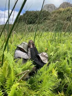 People in swamp