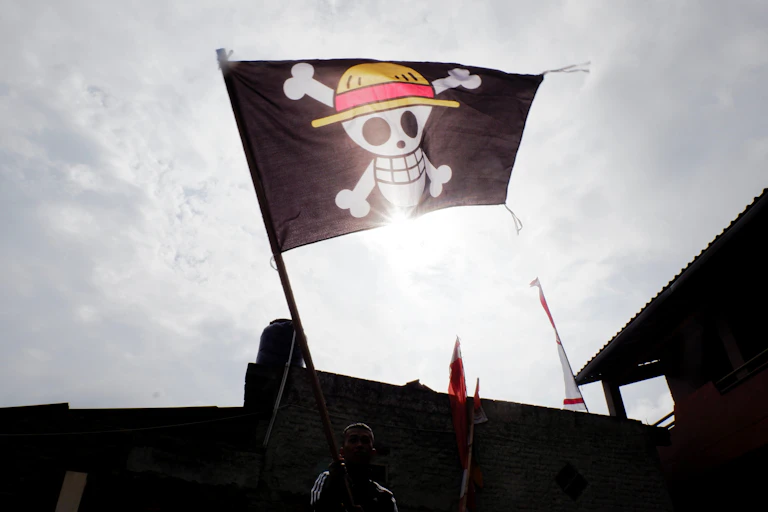Drapeau Onepiece dans une manifestation.