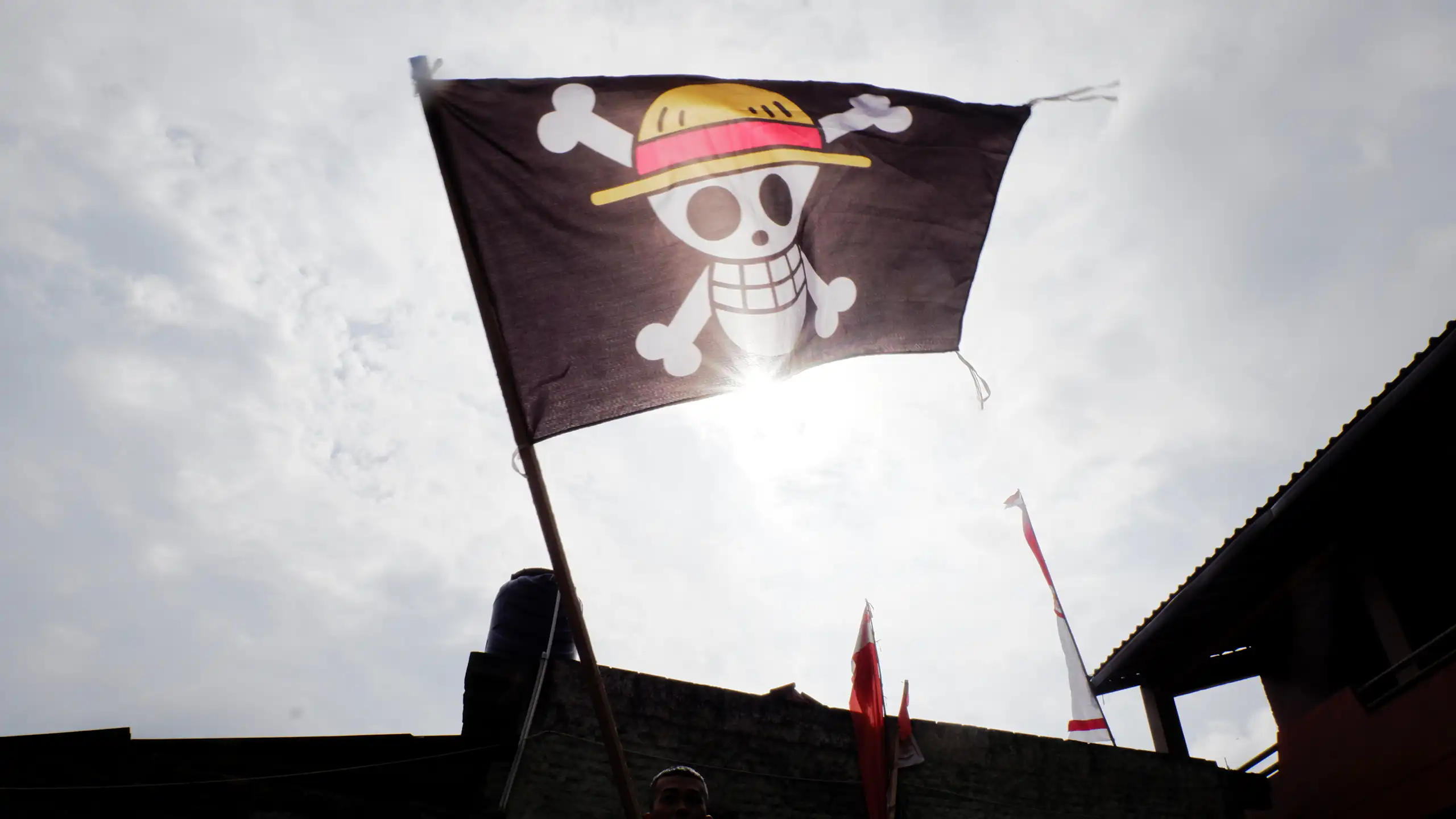 Drapeau Onepiece dans une manifestation.