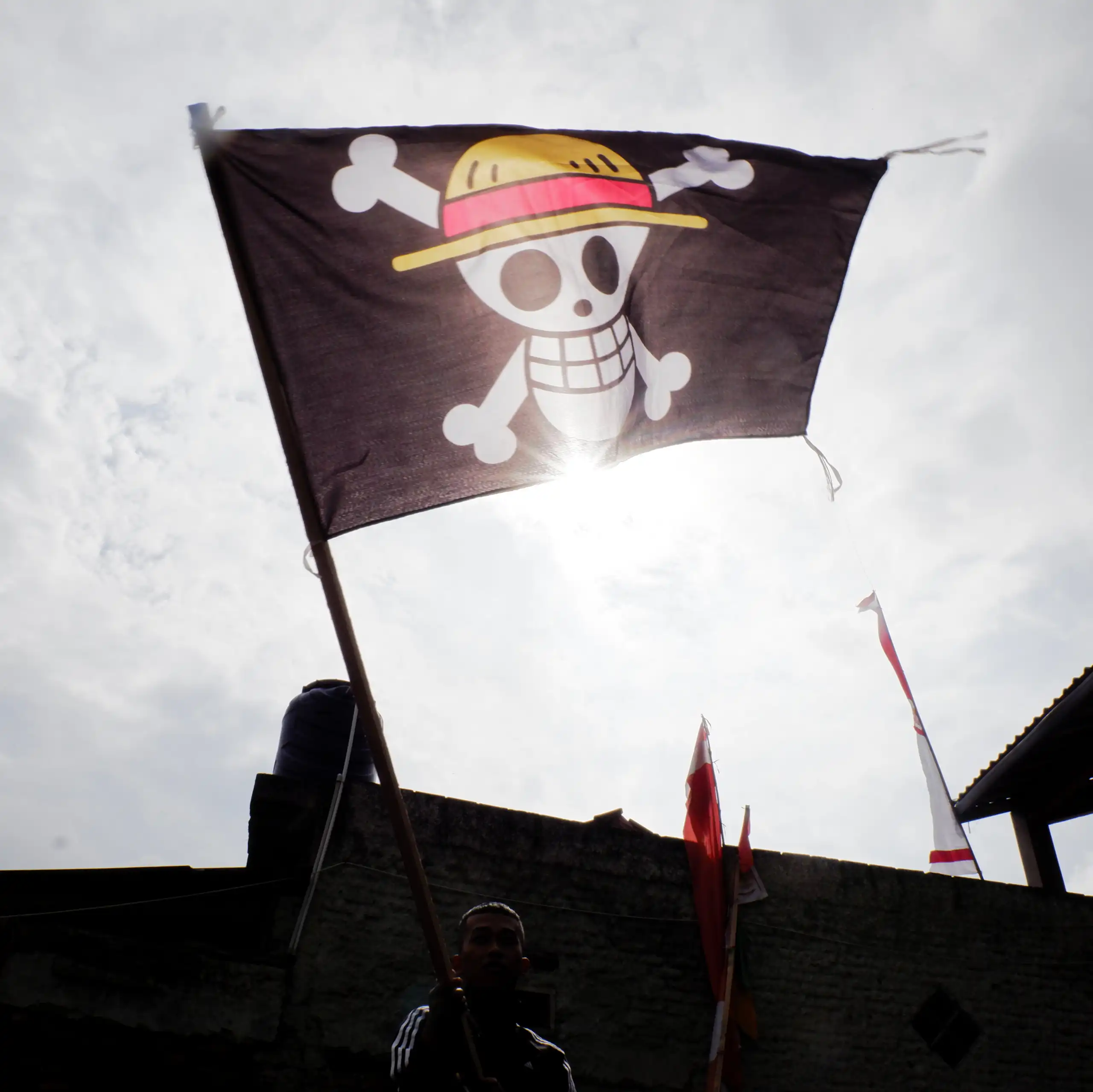 Drapeau Onepiece dans une manifestation.