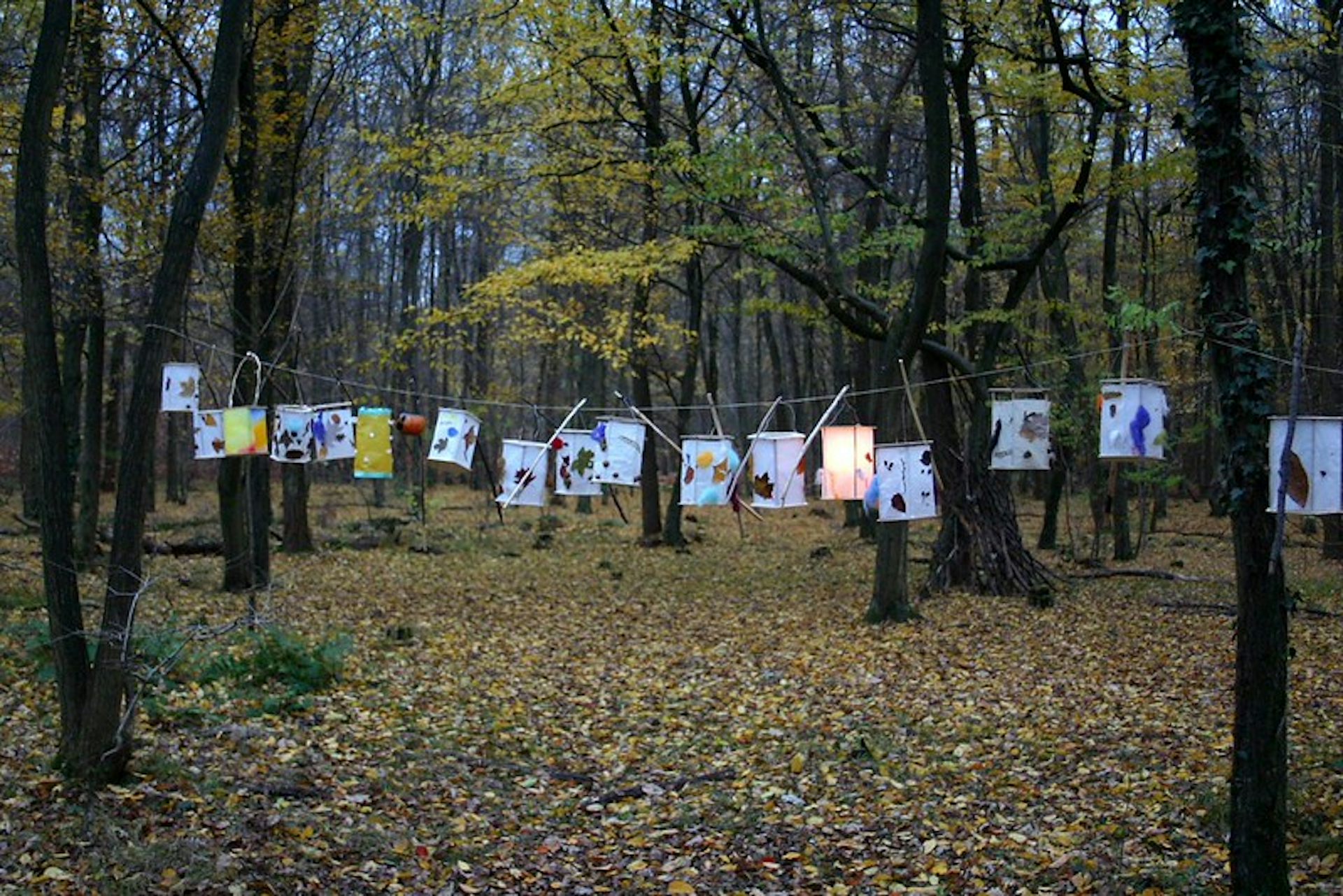 Se ven linternas de papel colgando de un alambre sobre los árboles en el bosque.