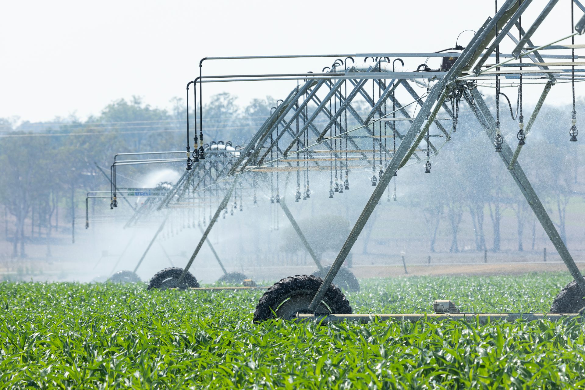 With an El Niño looming, Australia has new laws to stop water market manipulation