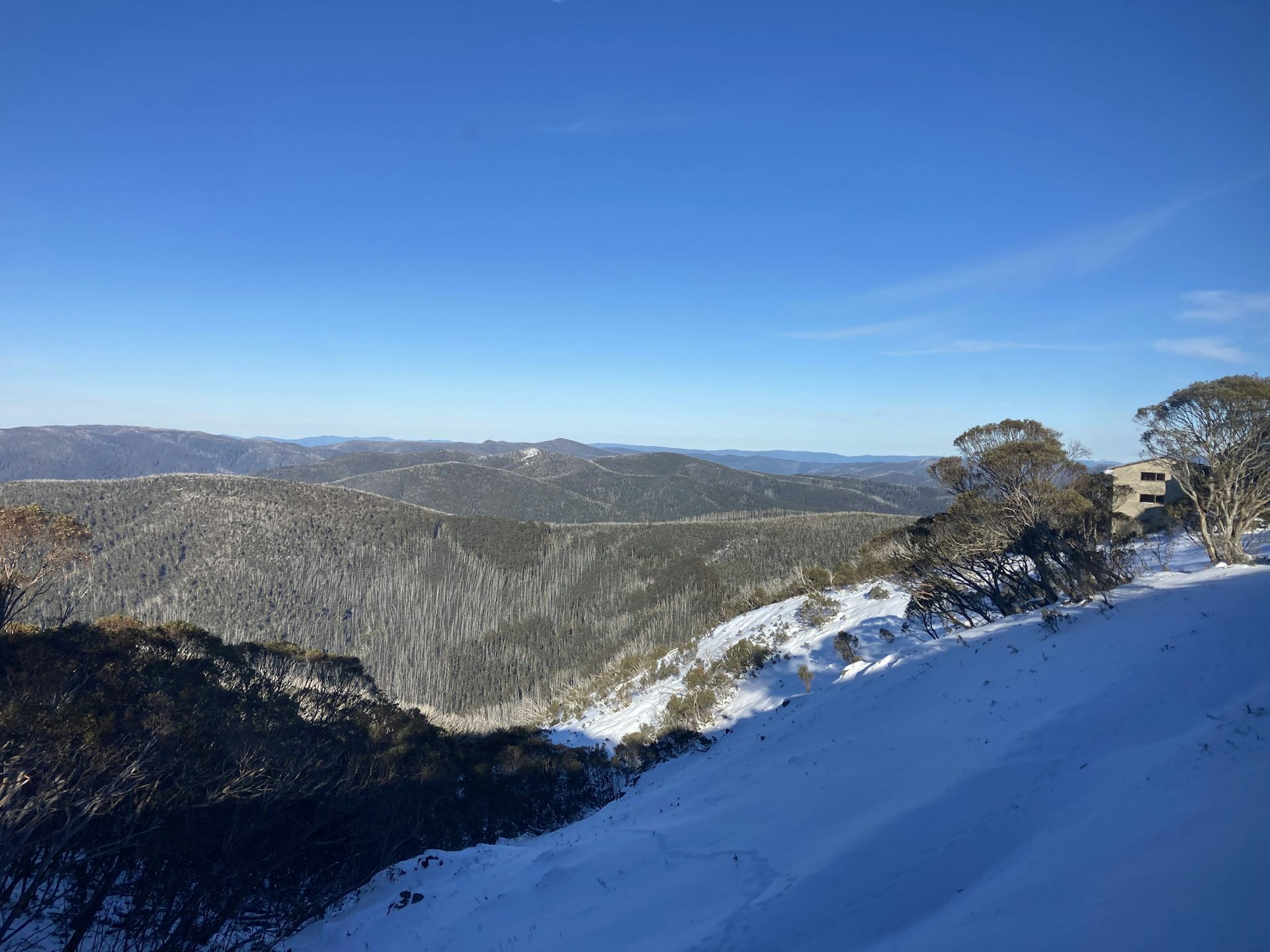 A view of mountains covered either by snow or vegetation.
