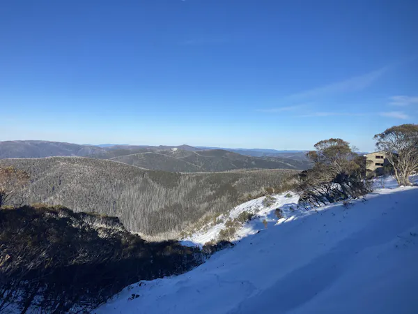A view of mountains covered either by snow or vegetation.