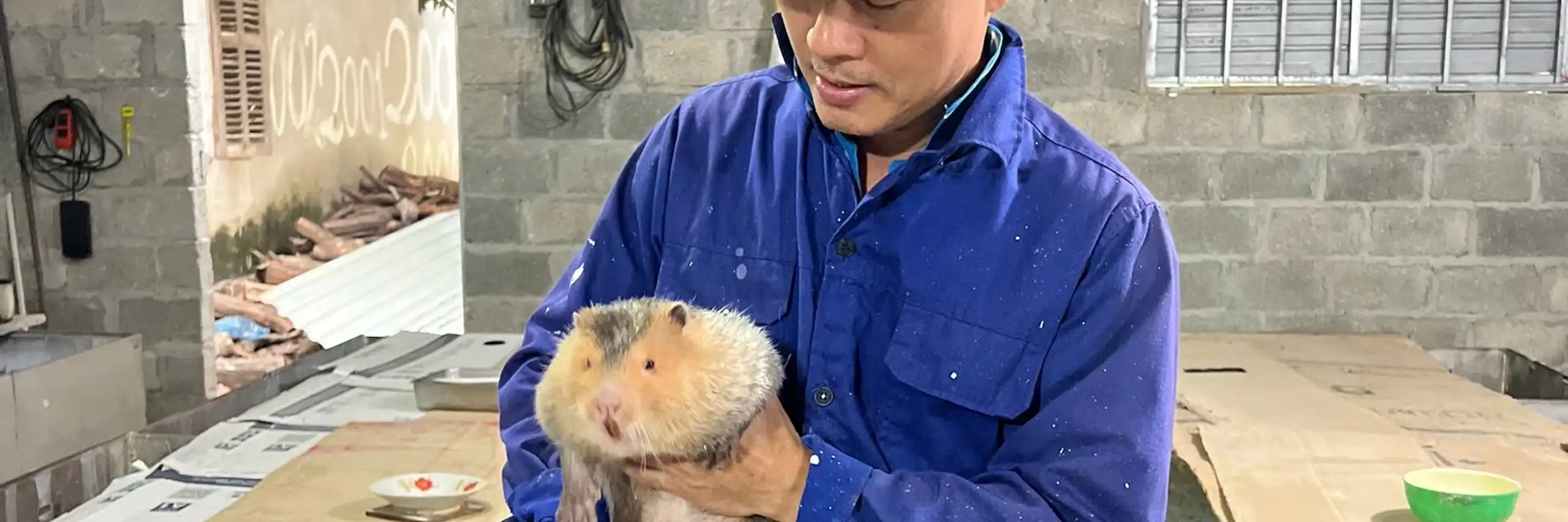 A rodent farmer in Vietnam.