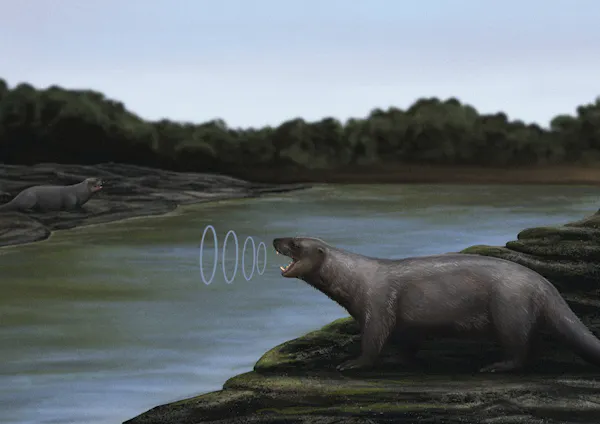 Illustration of two _Puijila_ communicating on land.