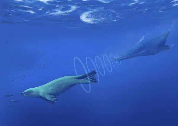 An illustration of an early marine sea and an early toothed whale.