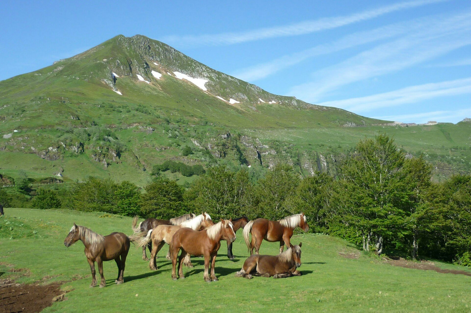 Les volcans du Cantal sont des montagnes…de verre!