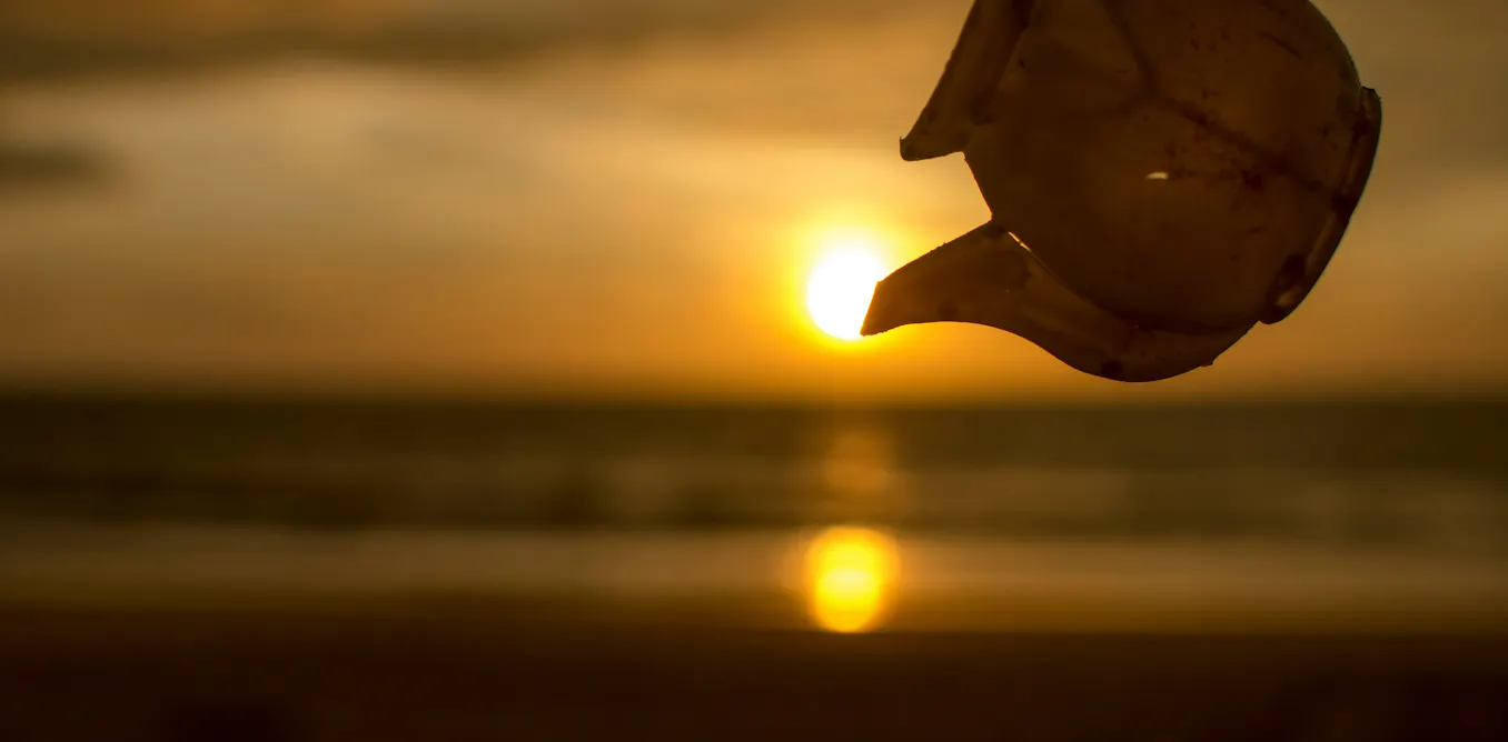 ‘7.6 billion mugs of tea a second’: a new way to make sense of the heat pouring into our oceans ‘7.6 billion mugs of tea a second’: a new way to make sense of the heat pouring into our oceans