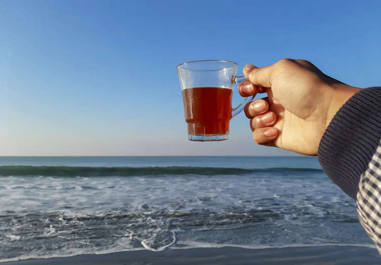 person holds tea cup beside ocean