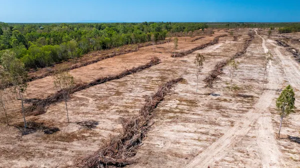cleared land next to intact shrubby forest.