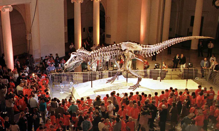 large fossil skeleton in bright light with dozens of children ringing it