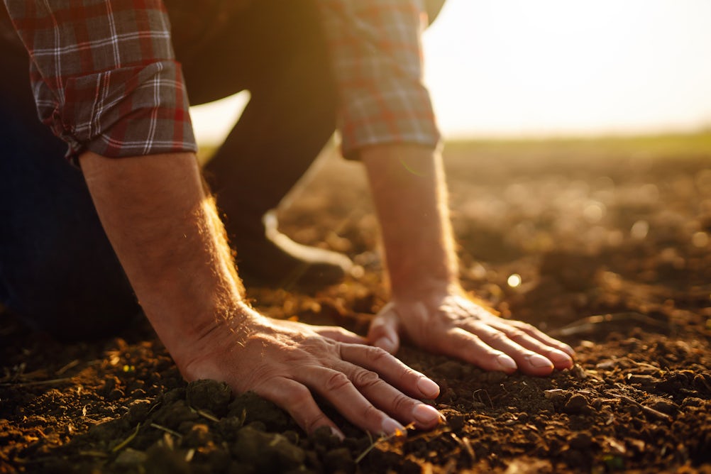 theconversation.com - David John Eldridge - What is no-till farming, and is it actually better for the environment?