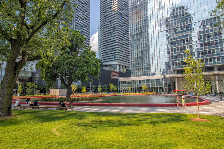 green shady trees, grass and pond with city skyscrapers in background