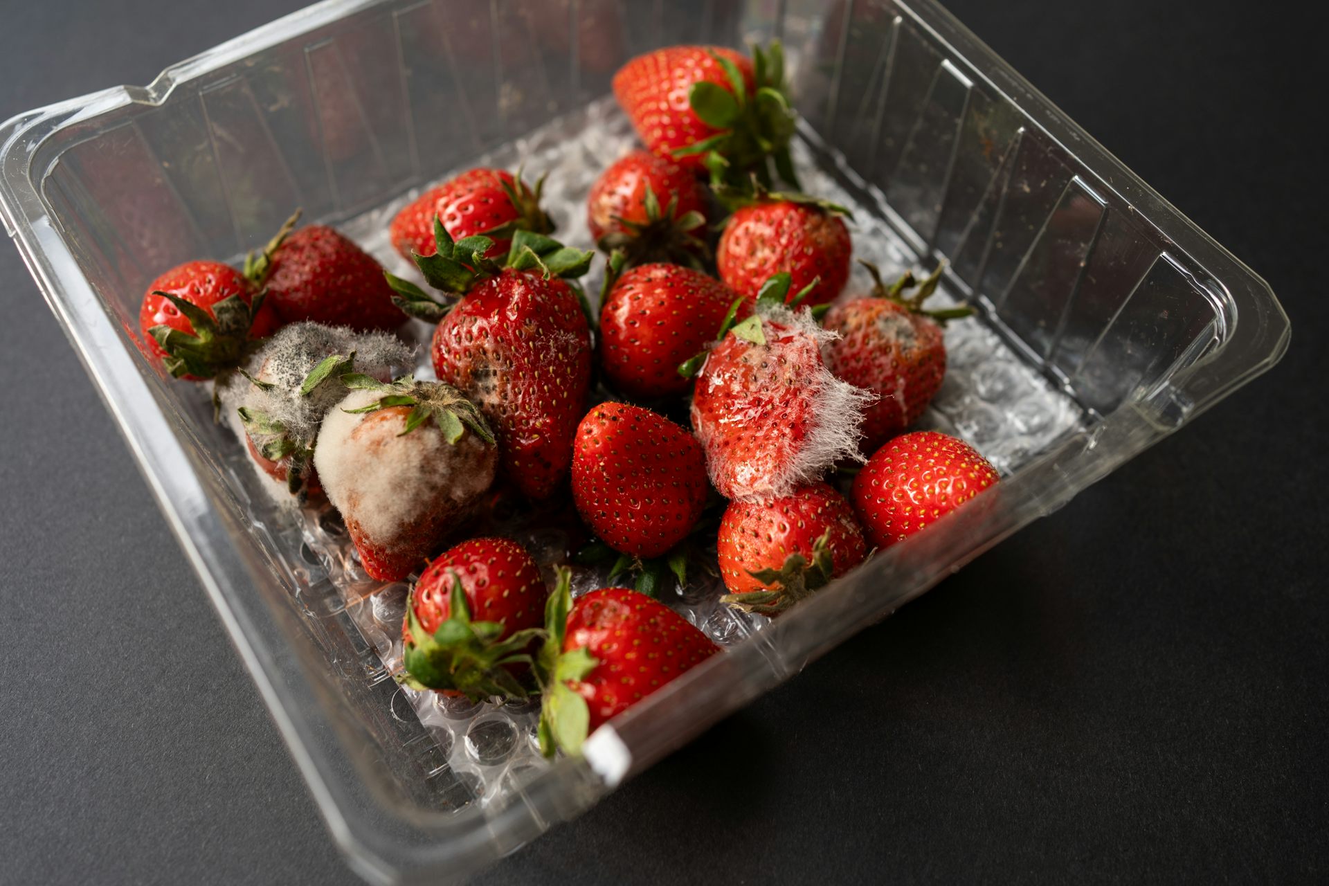 A punnet of mouldy berries.