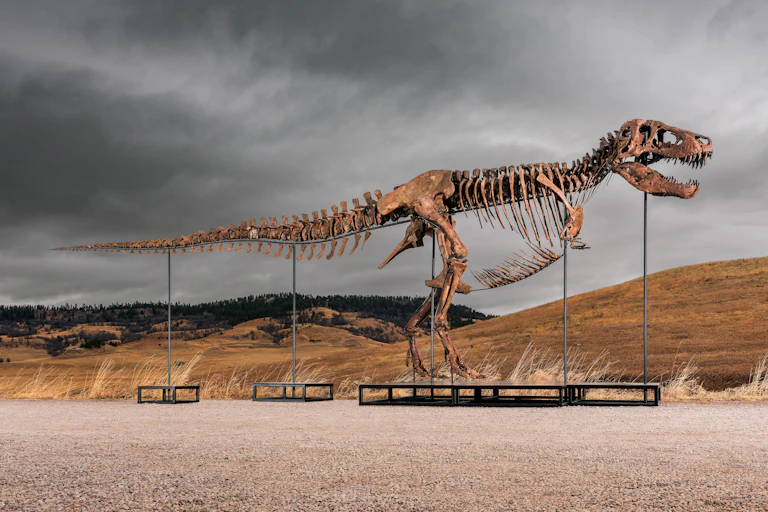 large T rex skeleton in profile against landscape with gray clouds