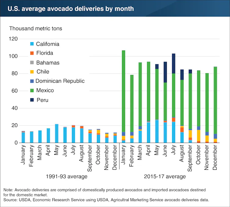 ¿Mejor guacamole? Cómo las reglas de importación de aguacate ayudaron a reducir la contaminación del agua en México: esto contiene lecciones para futuros acuerdos comerciales con EE. UU. 1 Los gráficos de barras muestran que el consumo de aguacate aumenta con la incorporación de las importaciones mexicanas. También se han ampliado otras fuentes de aguacates.