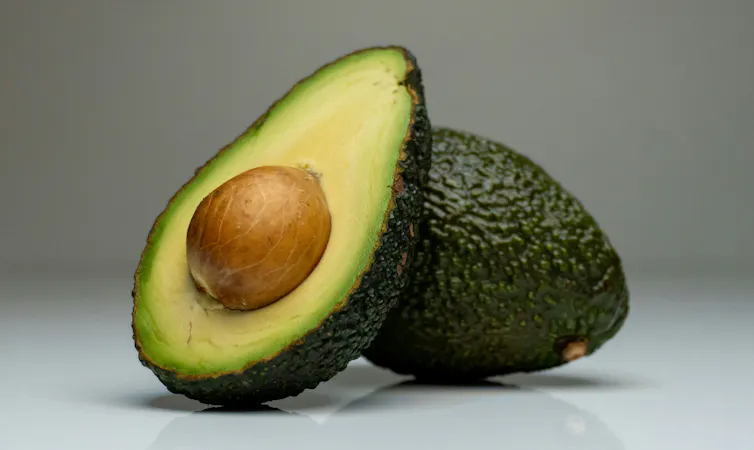 ¿Mejor guacamole? Cómo las reglas de importación de aguacate ayudaron a reducir la contaminación del agua en México: esto contiene lecciones para futuros acuerdos comerciales con EE. UU. 3 Aguacate abierto, semilla prominente