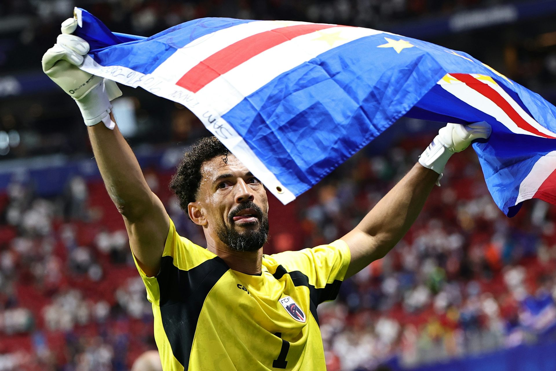 ScienceWireDaily — Can you be a World Cup ‘winner’ without winning the World Cup?
