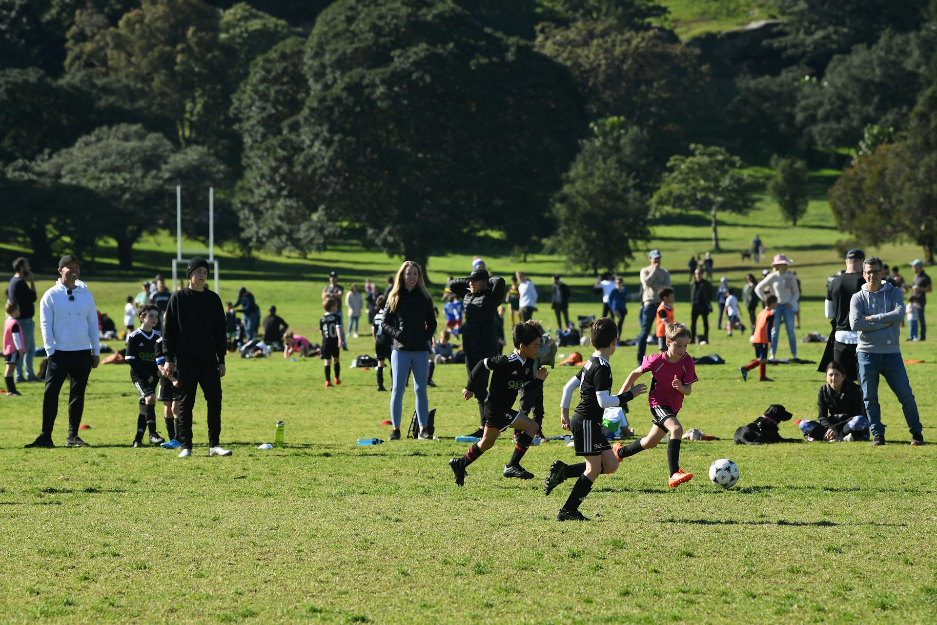 EduWireDaily — To turn the Socceroos into World Cup contenders, we need to start with the junior game