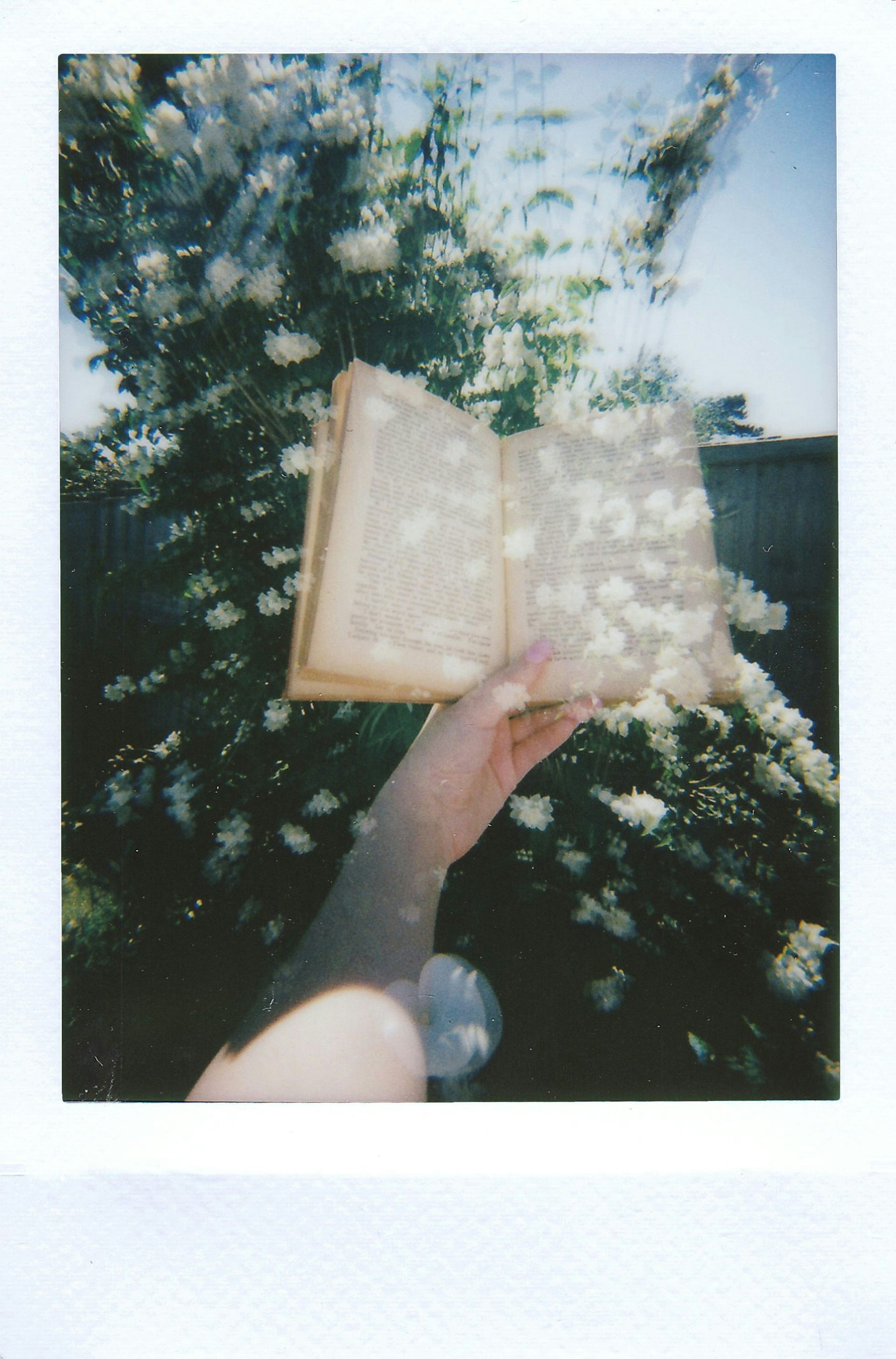 This haunting novel narrated by a book stayed with me for weeks