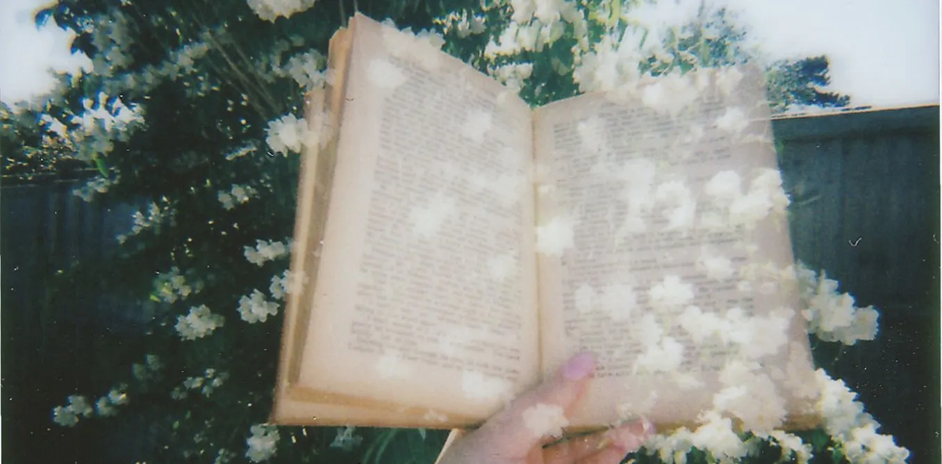 EduWireDaily — This haunting novel narrated by a book stayed with me for weeks