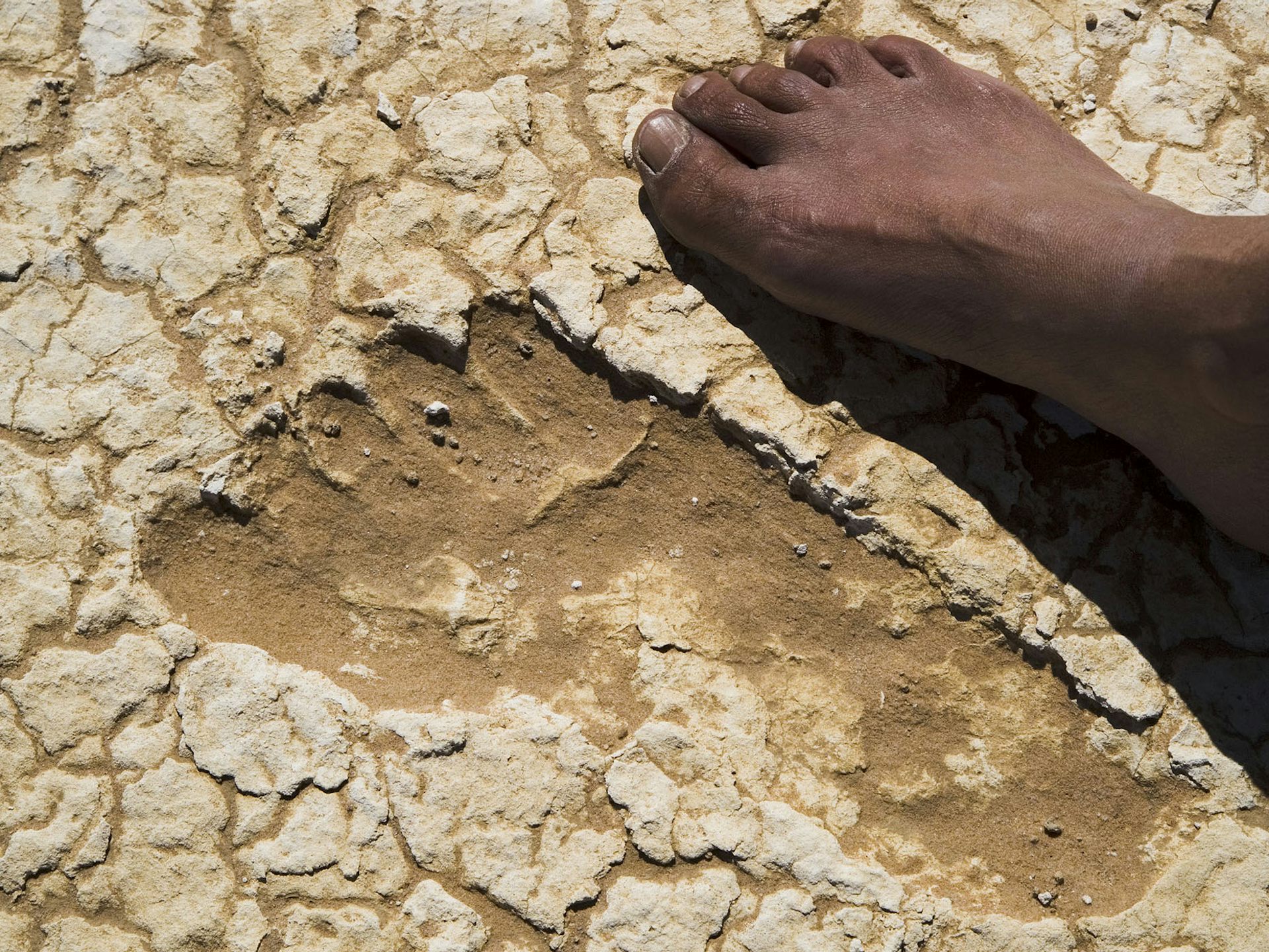 Who we should recognise as First Australians in the consтιтution