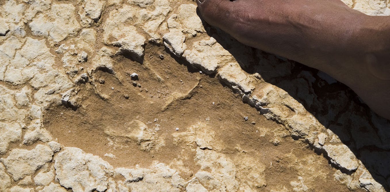 Who we should recognise as First Australians in the consтιтution