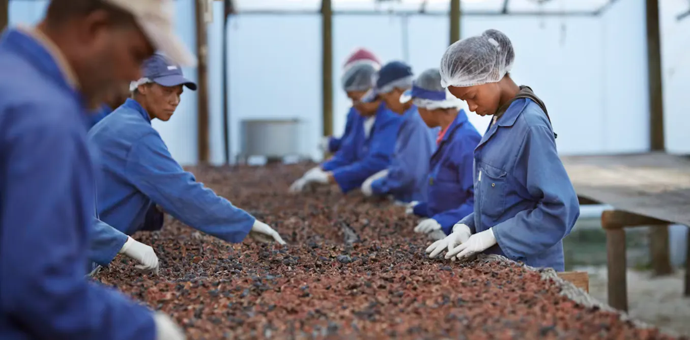 EduWireDaily — China is funding African farmers but not food processing and storage: why it’s a problem