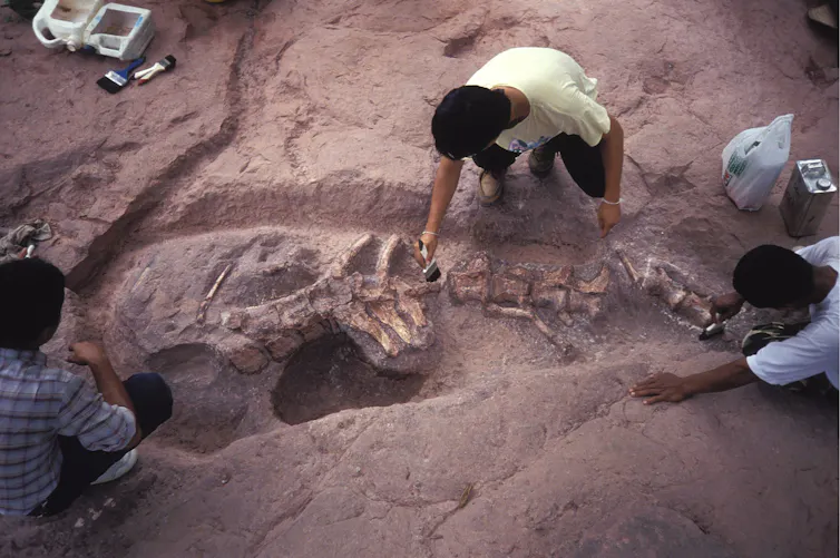 view from above of three people crouched over bones embedded in sandy rock