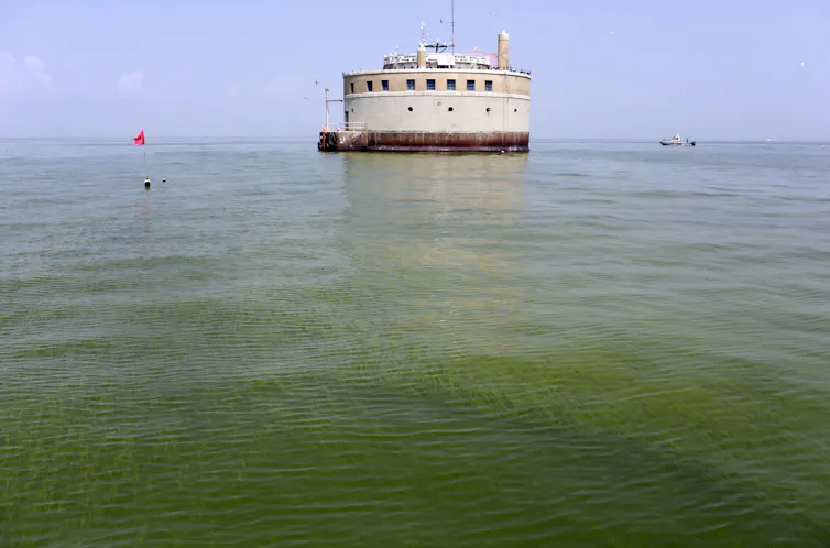 A large round building emerges from the surface of a body of water covered in green algae.