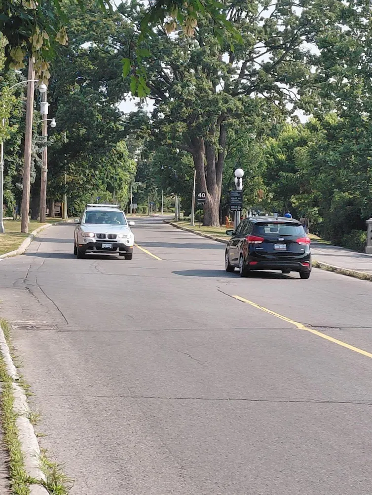 cars drive past each other on a two-way street lined with trees on their side.
