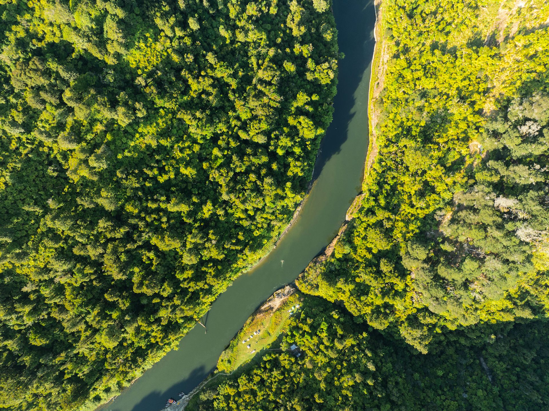 NZ’s overhaul of nature protection laws is a chance to move away from ‘fortress conservation’
