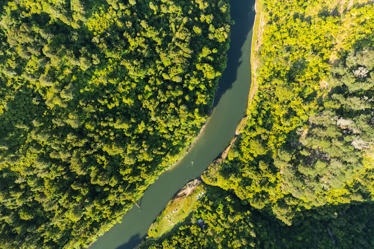 Aerial view of the Whanganui river