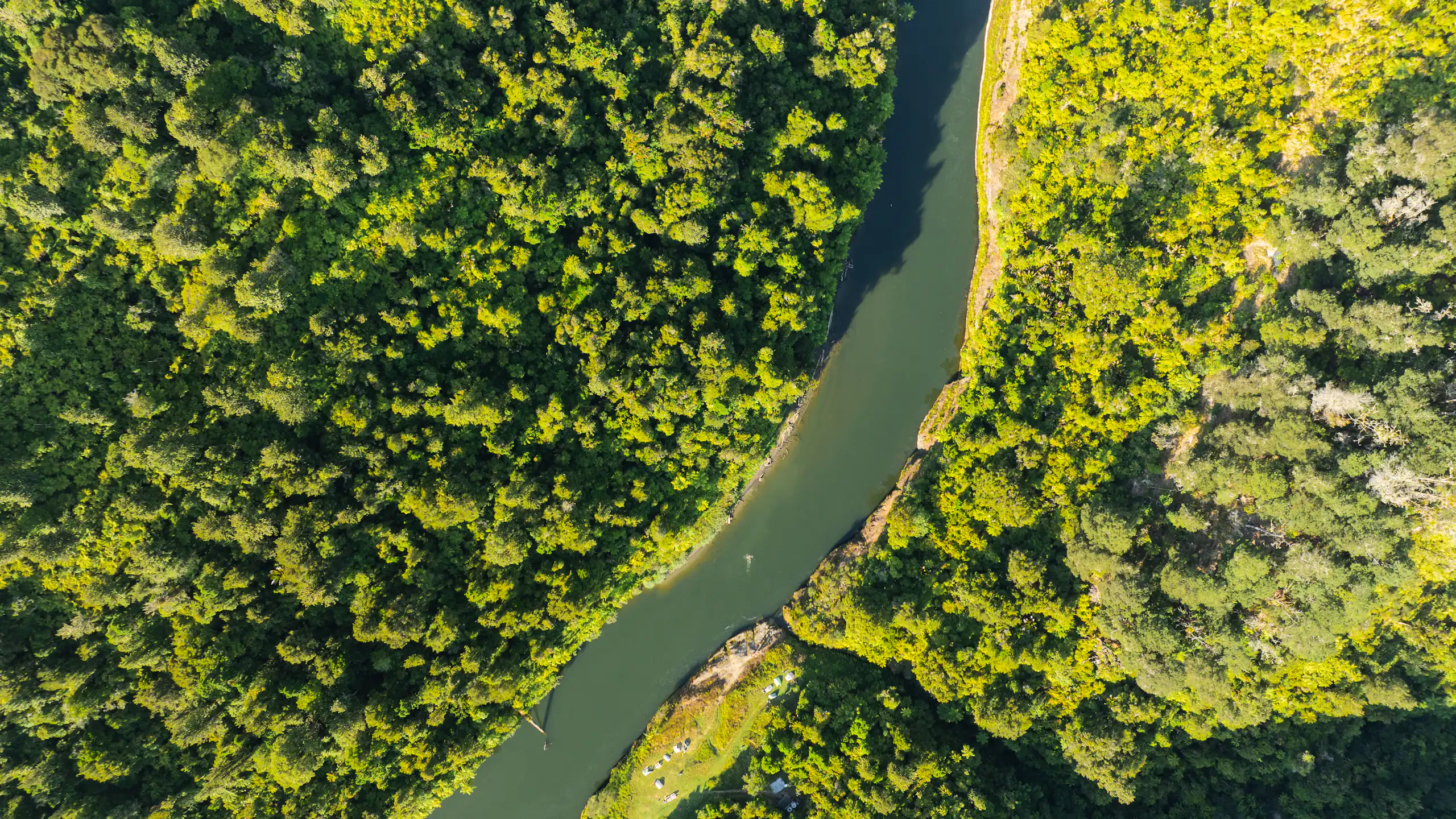 Aerial view of the Whanganui river