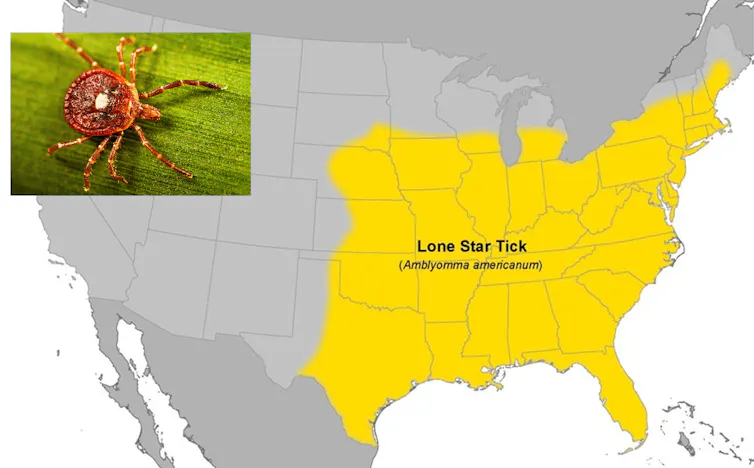 A tick with a star on its back and a map showing its reach in much of the eastern half of the U.S. and Midwest.