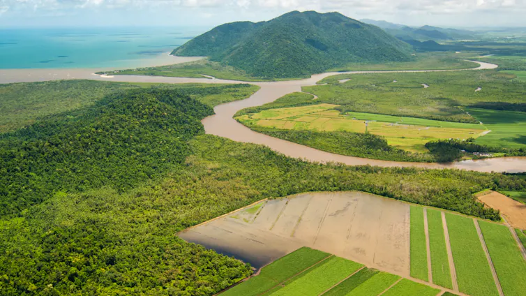 a plume of floodwater entering blue sea, aerial view over farmland and forests with mountains behind.