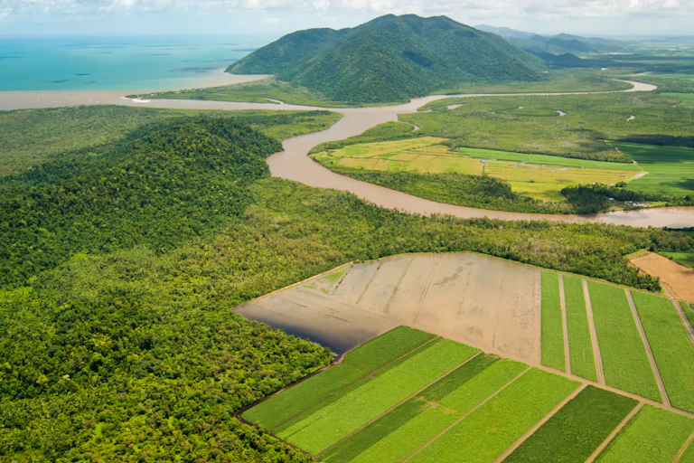 a plume of floodwater entering blue sea, aerial view over farmland and forests with mountains behind.