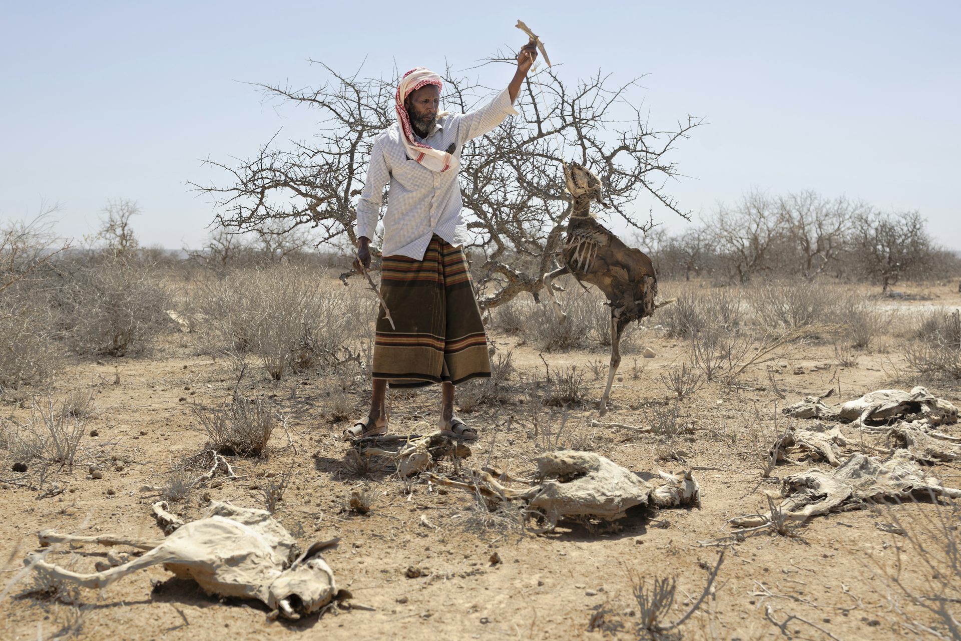 Africa’s Greater Horn region is facing a looming polycrisis fueled by conflict, prices, climate and disease