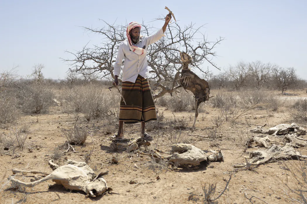 Africa’s Greater Horn region is facing a looming polycrisis fueled by conflict, prices, climate and disease